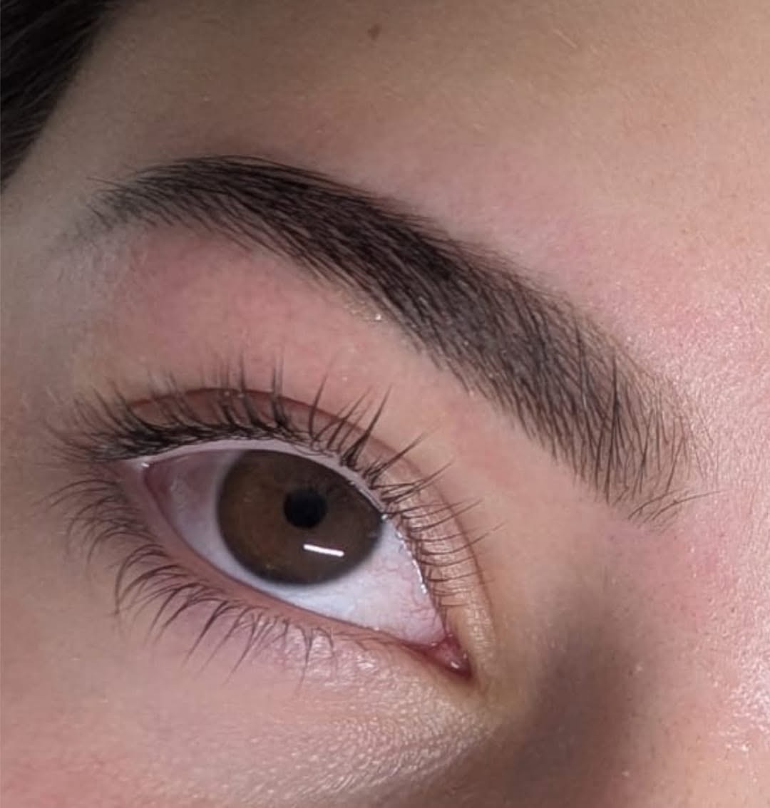 A laminated brow and lifted lashes above a brown eye